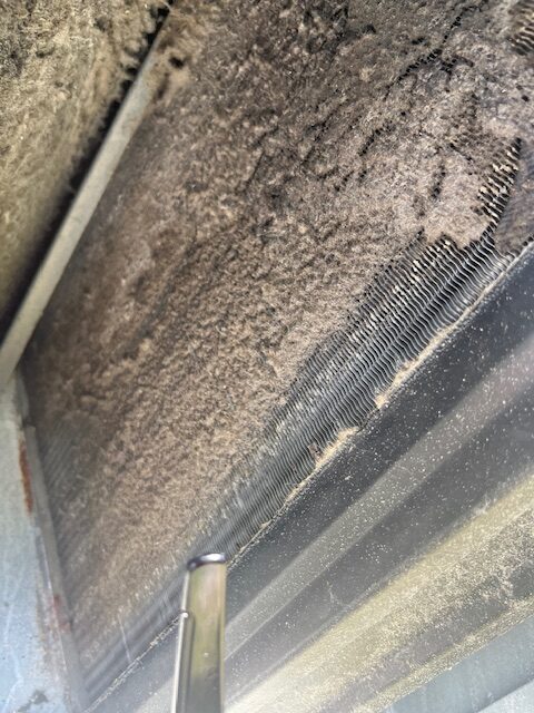 Dirty Evap Coil Requiring Air Conditioning Repair Near Cape Coral