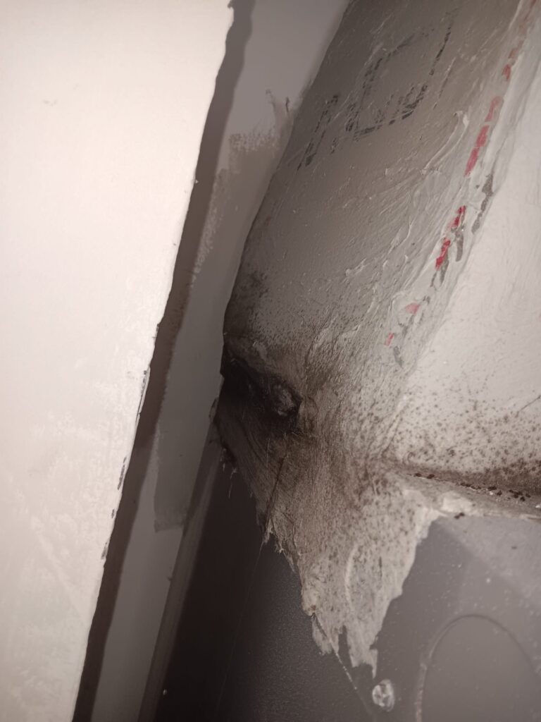 Black Growth on A/C System