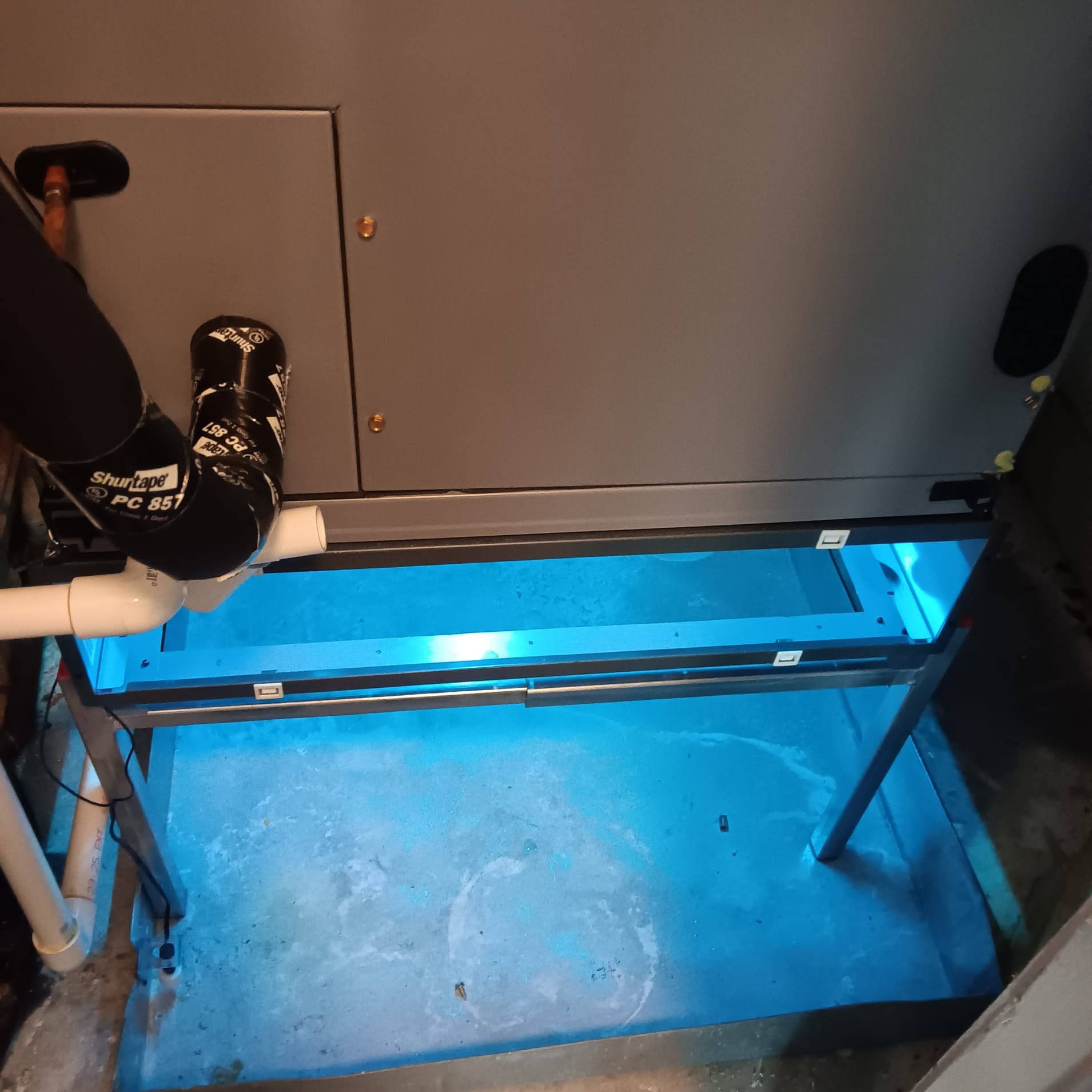 UV Light